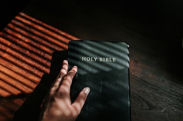 handl-on-bible